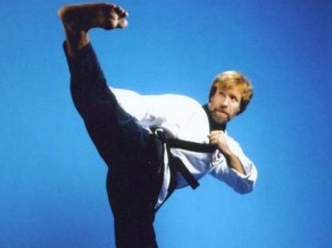 chuck_norris_roundhouse_kick